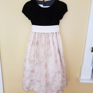 Cinderella Girl's Formal Dress